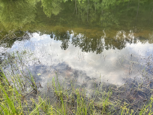 Berry Botanical & RV Campground Gallery - United States