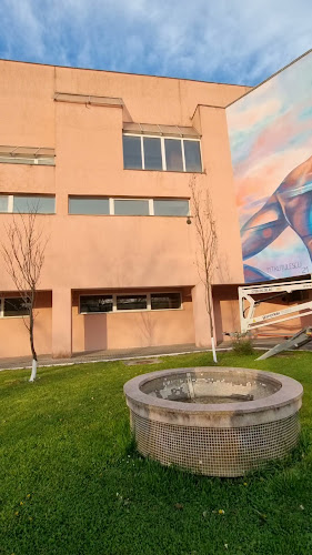 primaria-resita.ro