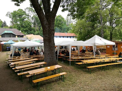 Photos of Township Waidhofen an der Thaya