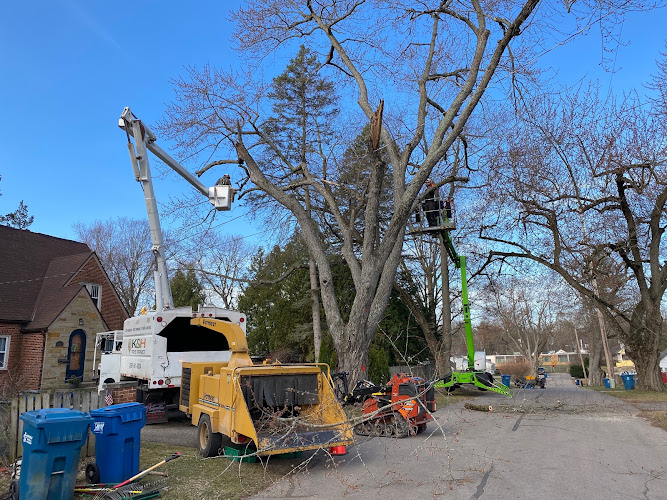K&H Tree Service