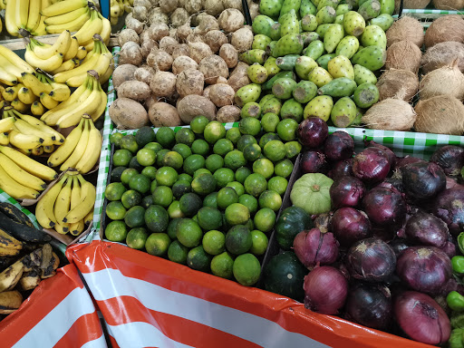 Fruta - Visual