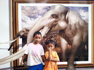 Photos of Taman Therapy