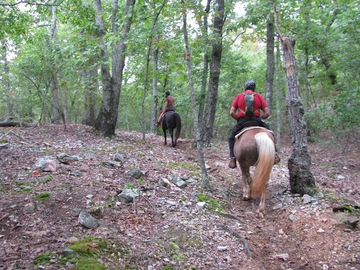 Friends of F.D. Roosevelt State Park
