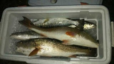 Photos of Dockside Inn & Resort
