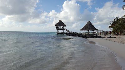 Photos of Indigenous Eyes Ecological Reserve