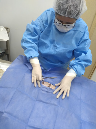 Veterinaria integral Animal Vet