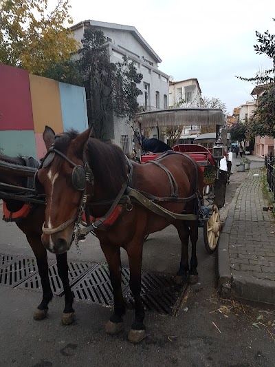 Mimar Mehmet Bölük Kültür ve Sanat Parkı