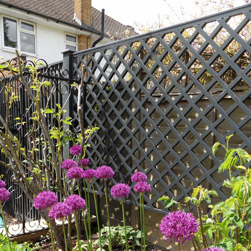 Trellis Direct - Visual