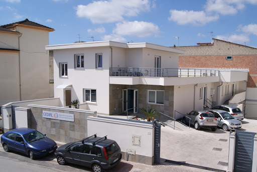 Cedial Srl - Visual