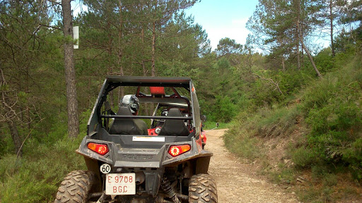 Buggyexperience - Visual