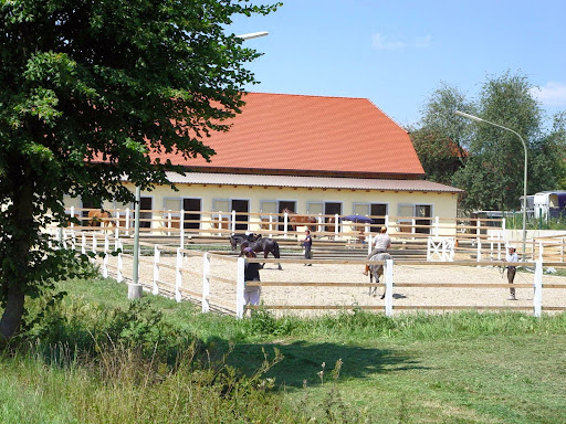 WIDUM ausgesuchte PREs und Lusitanos in Bayern - Germany