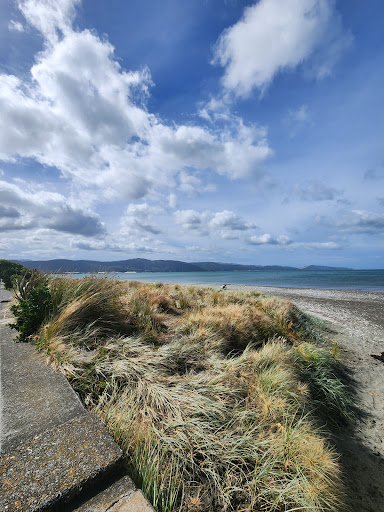 Petone Settlers Museum - Thumbnail