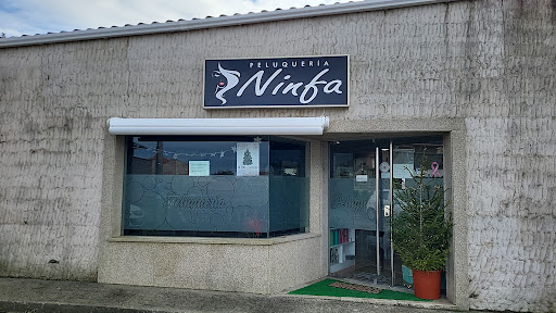 Ninfa - Visual