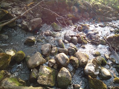 Photos of Salaca Valley