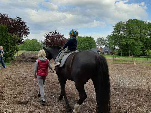 Reiten-Prerow