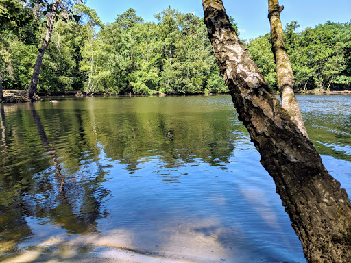 Heath Pool - Visual