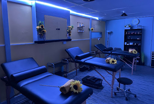 Holistic Therapies Training Academy