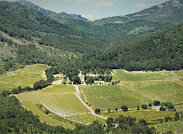 Château des Chaberts à Garéoult