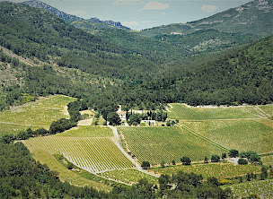 Photo n°1 de Château des Chaberts à Garéoult (Établissement vinicole)