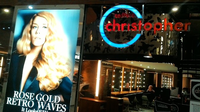 Christopher Salon, Author: Christopher Salon