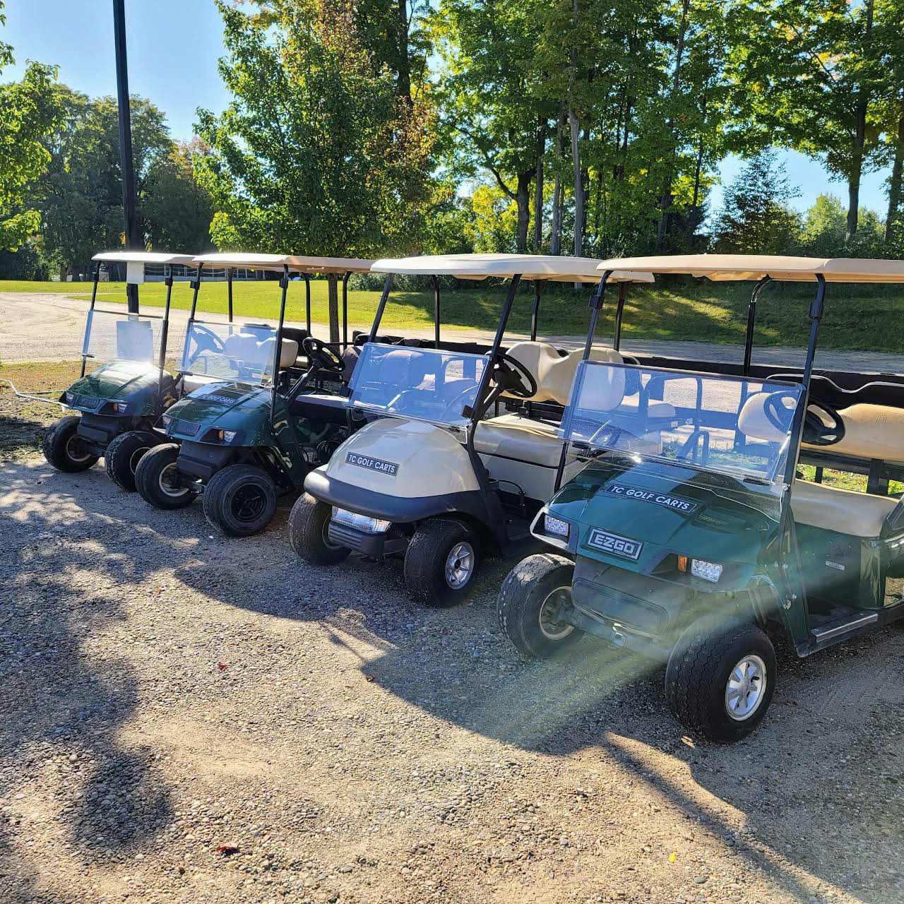 TC Golf Carts Golf Cart Sales and Rentals in Traverse City
