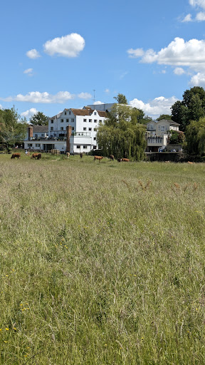 The Gainsborough Trail: Meadow Walk - Thumbnail