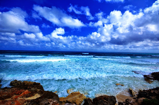 Su Casa Cancun Real Estate