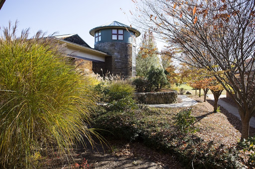 Pine Point School - Visual