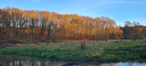 Riesebusch West - Thumbnail