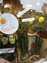 Photo n°33 de Gisèle Fleurs à Tarbes (Fleuriste)