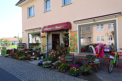 Blumen - Faust - Visual