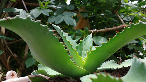 site_photo3
