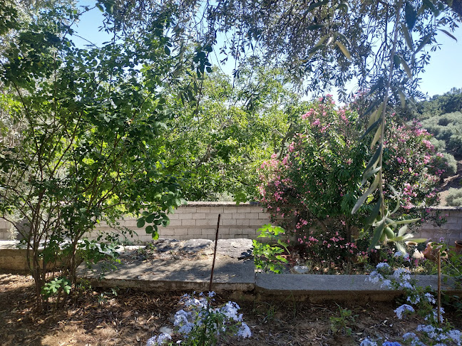 Ιερά Μονή Κοιμήσεως Θεοτόκου, Μαριών Θάσου - (Παναγούδα) - Κέρκυρα