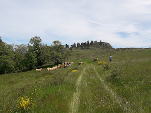 Photo n°4 de Vente et Camping à la Ferme de la Marette à Gluiras (Magasin)