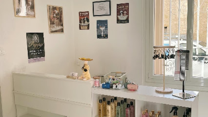 Snowbi Doux Salon de Toilettage