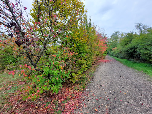 Photo de Résidence Services Seniors DOMITYS - Terres de Bourgogne à Venoy (89290)