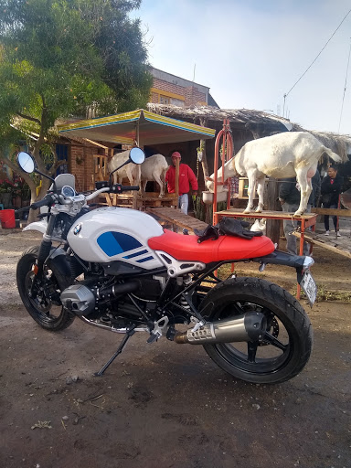 Pajaretes chiva y vaca