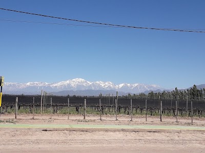 Photos of Ferreter&iacute;a San Lorenzo