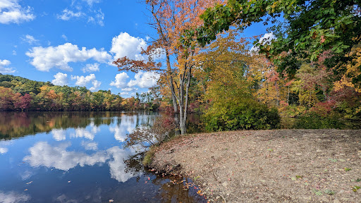 Dorothy Pond, Riverlin St Access