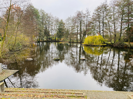 Steinbachwiesen - Visual