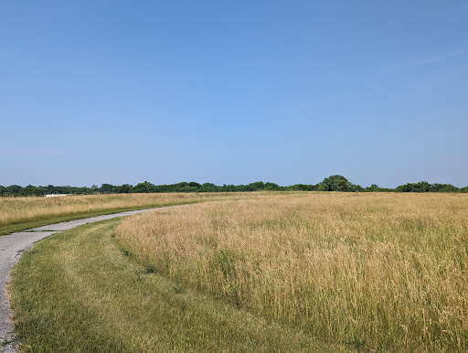 St. Ellen Park - Visual