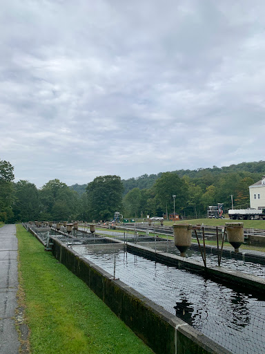 Catskill Fish Hatchery - NYS DEC - Thumbnail