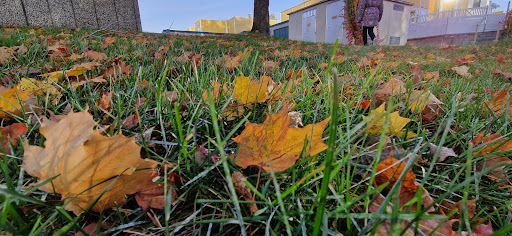 Sollentuna BUMM Martina - Thumbnail