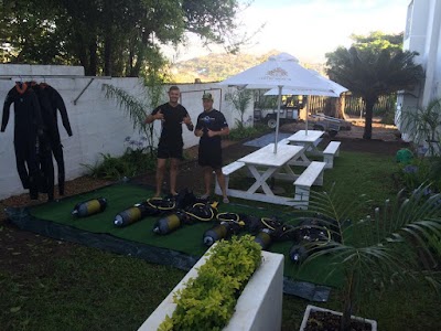 Photos of Crystal Divers South Africa