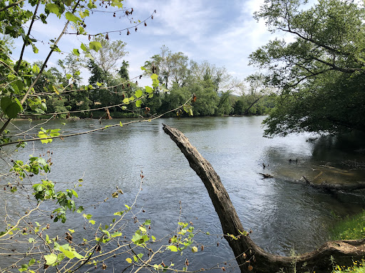 Glen Bridge River Park Gallery - United States