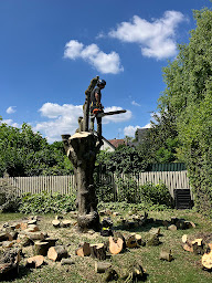 Photo n°3 de Dan Élagage67 - Élagueur, abattage taille - Strasbourg à Mundolsheim (Paysagiste)