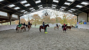 Photo n°5 de Ferme Equestre du Tréglodé à Landujan (Éleveur)