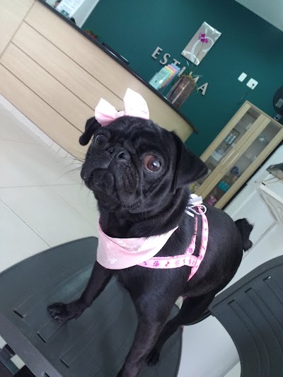 Photos of Estima Hospital Veterin&aacute;rio