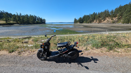Orcas Bikes - Visual