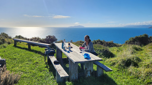 Go Mana Gallery - New Zealand